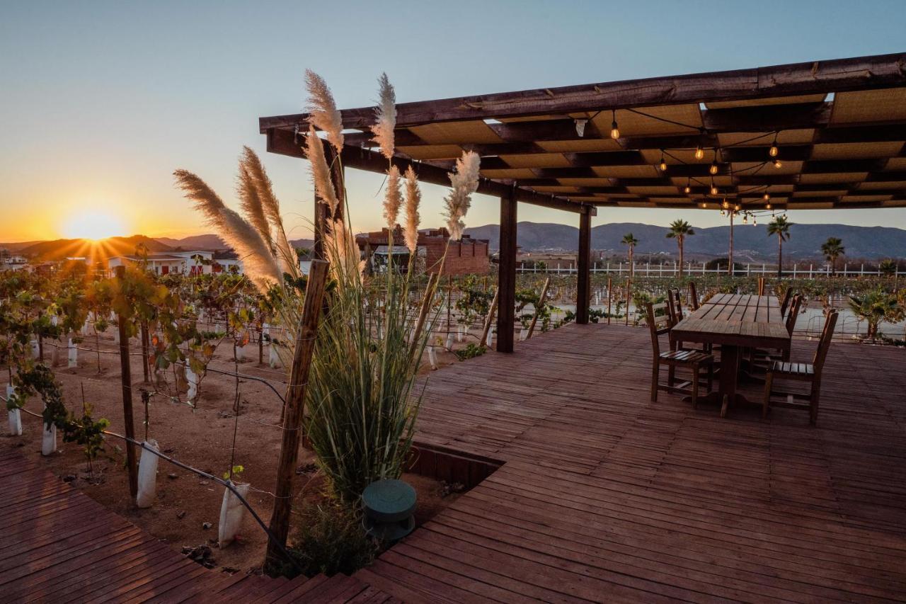 Entrevalle Hotel Boutique Valle de Guadalupe Bagian luar foto