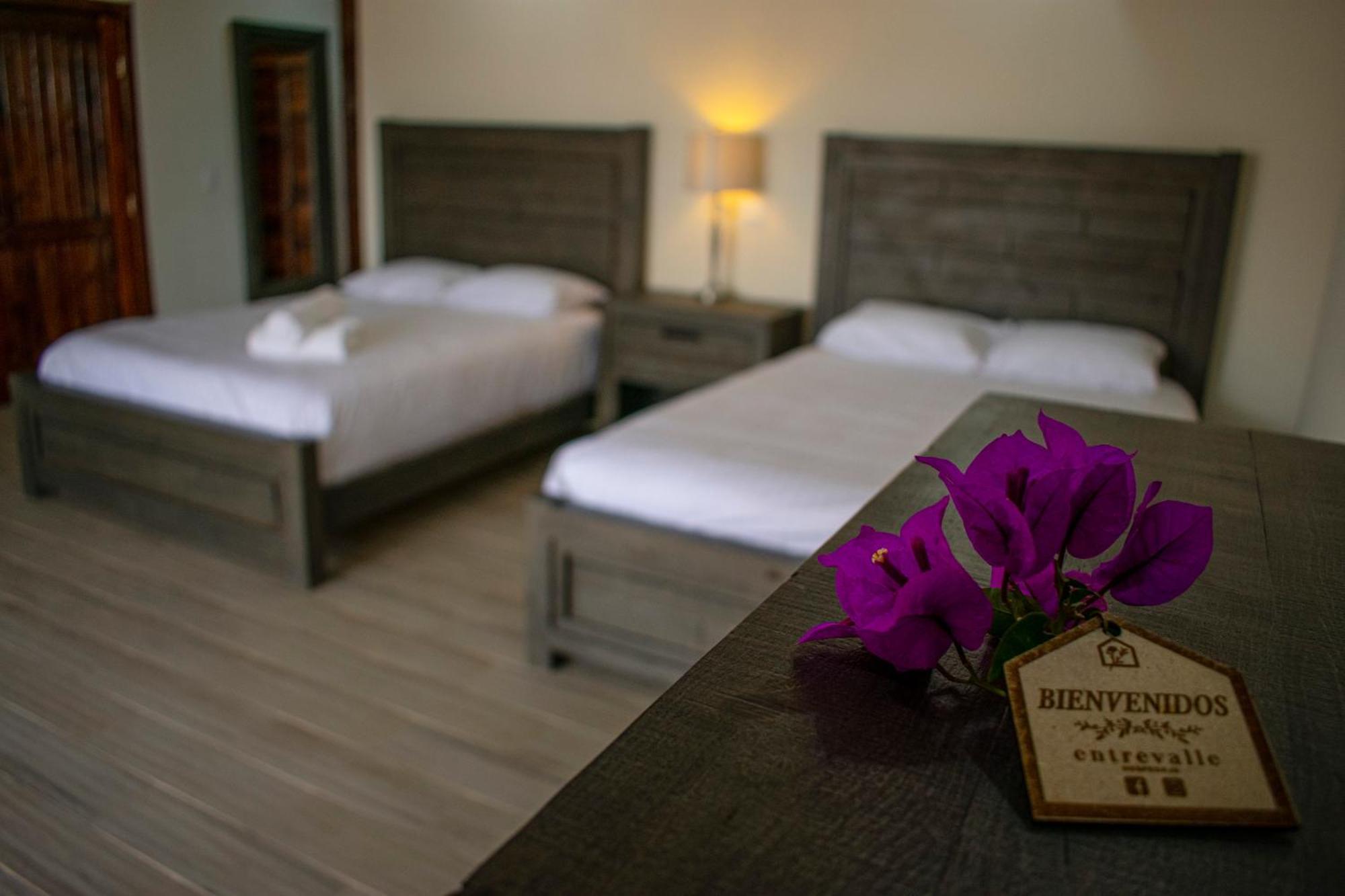 Entrevalle Hotel Boutique Valle de Guadalupe Ruang foto
